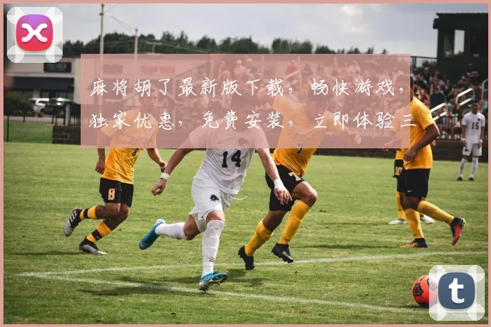 麻将胡了最新版下载，畅快游戏，独家优惠，免费安装，立即体验三重惊喜